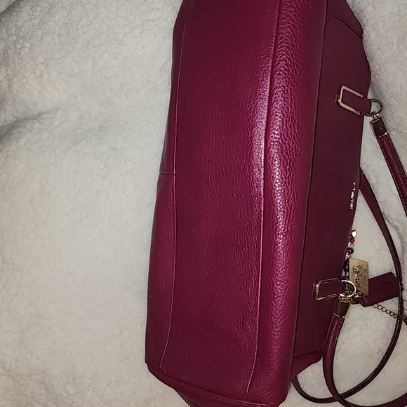 Pink & Gold Coach - Picture 7 of 11